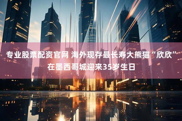 专业股票配资官网 海外现存最长寿大熊猫“欣欣”在墨西哥城迎来35岁生日