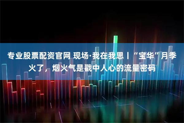 专业股票配资官网 现场·我在我思丨“宝华”月季火了，烟火气是戳中人心的流量密码